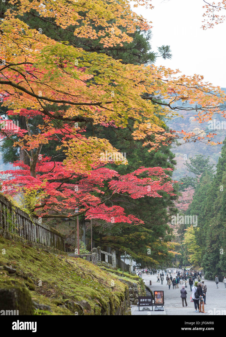 Giappone, città di Nikko, il Santuario Toshogu, colori dell'autunno Foto Stock