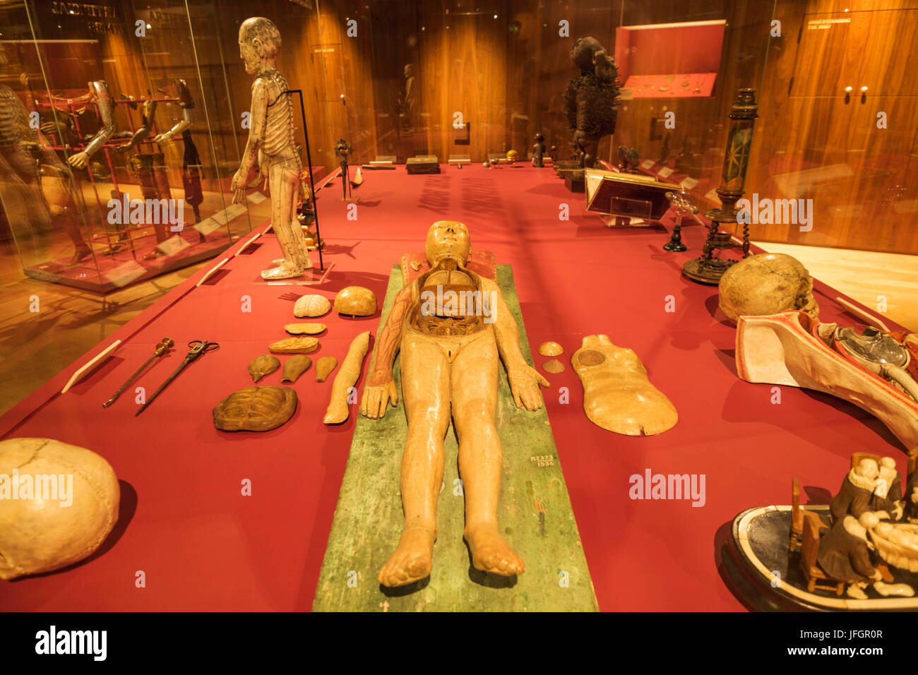 Inghilterra, Londra, la Wellcome Collection, presentano del tedesco in legno anatomica figura datata 1700 Foto Stock
