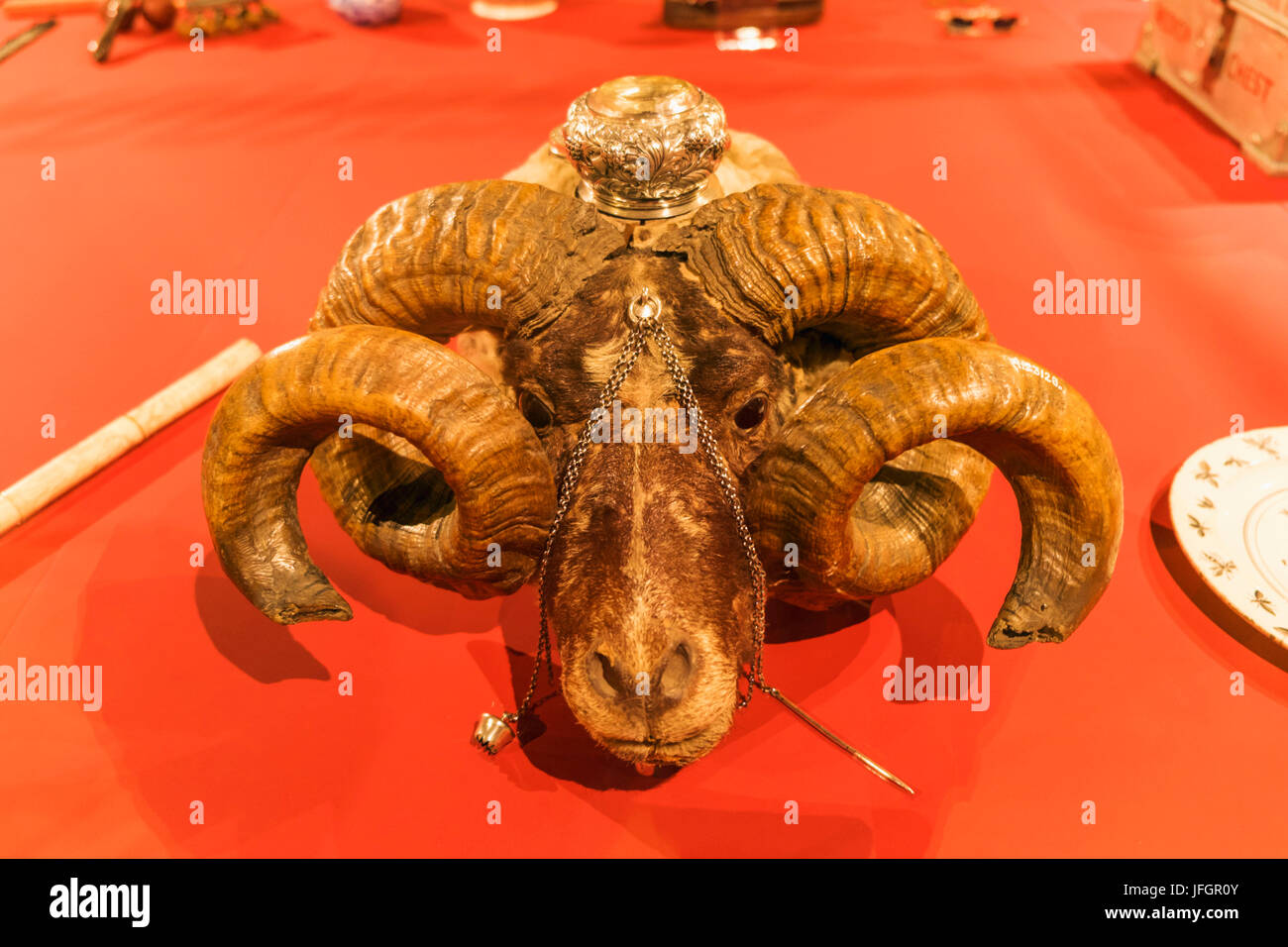 Inghilterra, Londra, la Wellcome Collection, presentano delle Ram scozzese della testa del contenitore di tabacco da fiuto 1881 Foto Stock
