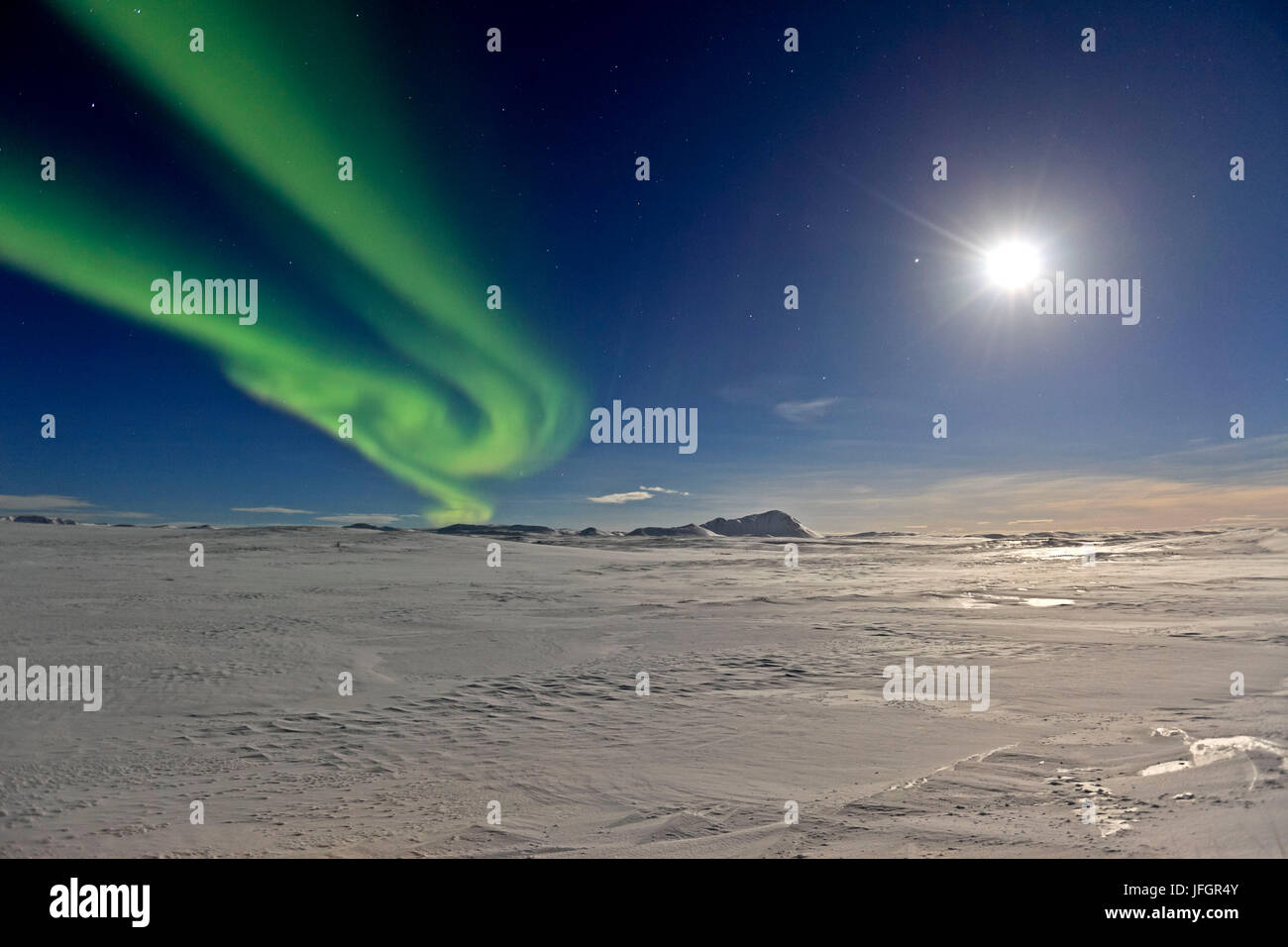 L'Islanda, Islanda, a nord-est, aurora boreale, Aurora Boreale vicino Holsandur, Federal Highway 87 a Husavik Foto Stock