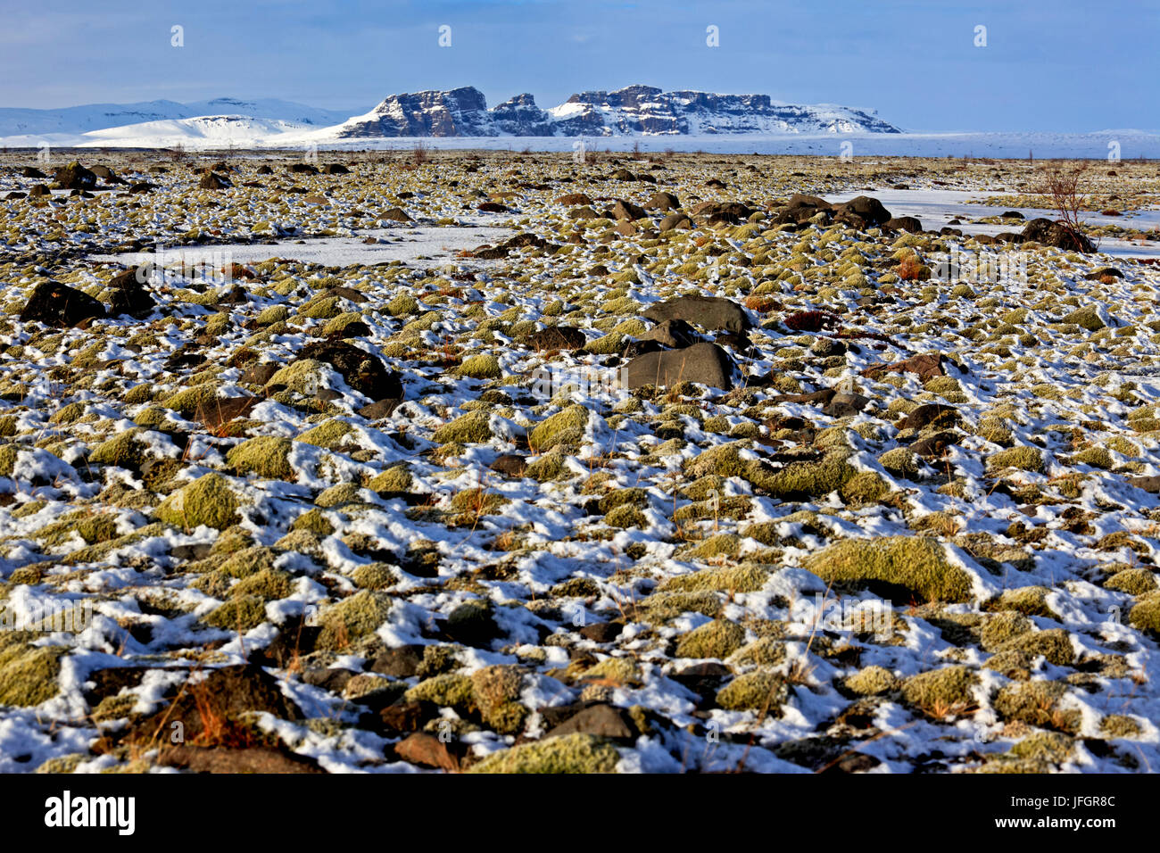 L'Islanda, l'Islanda, il sud, moss imbottitura, Skaftafell, Skaftafell national park Foto Stock