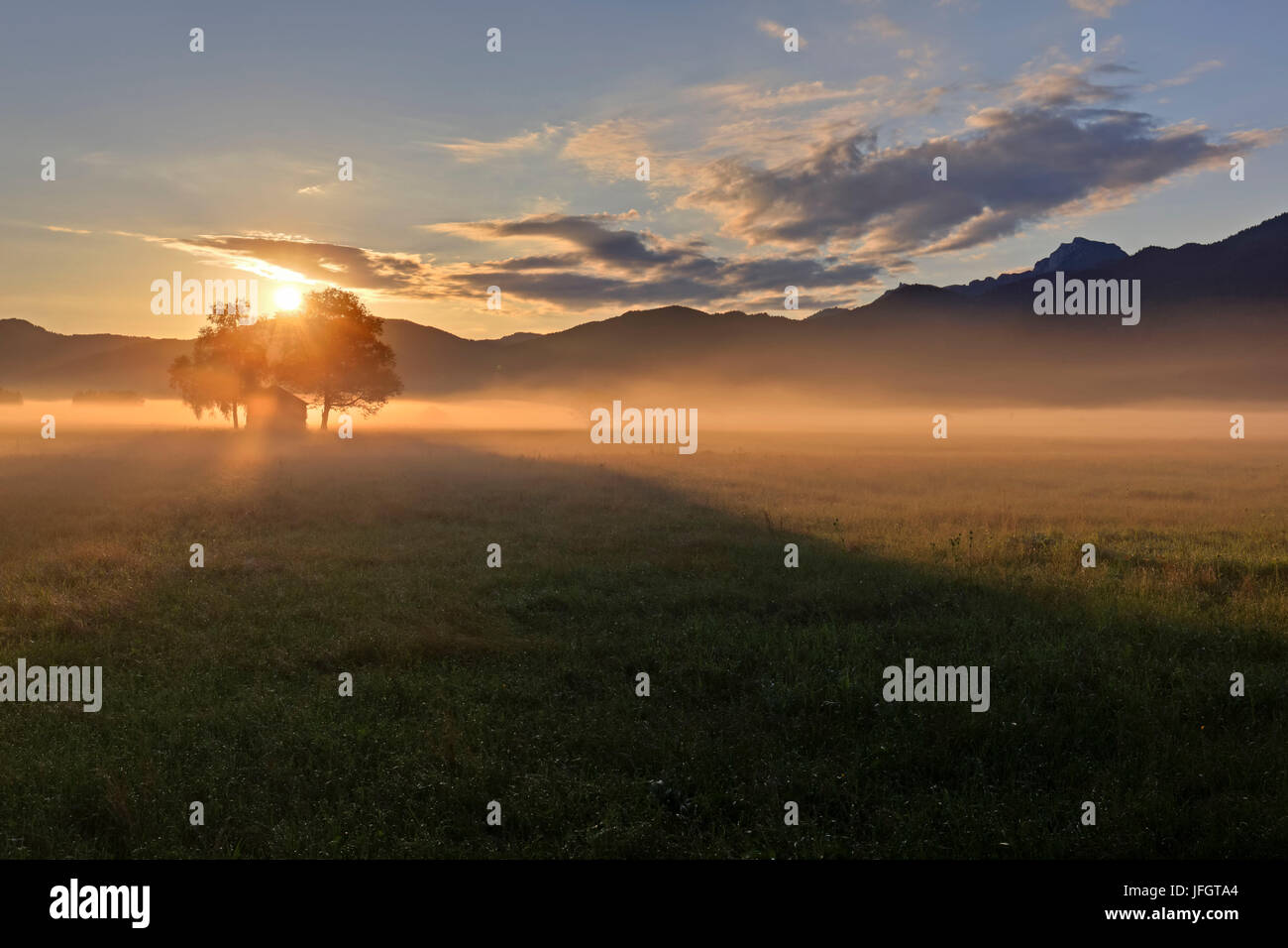 In Germania, in Baviera, Baviera, Tölzer paese bavarese, Prealpi, Kochel moss, Kochler Moore, Kochler moss, vista Benediktenwand bavaresi Prealpi Salisburghesi Foto Stock