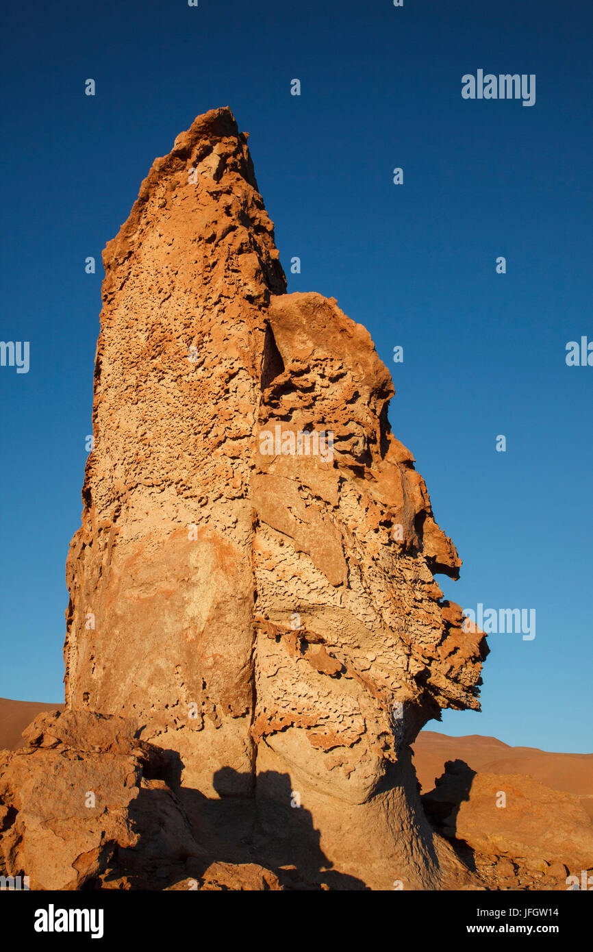 Il Cile, Monjes de Pakana, formazione di roccia Foto Stock