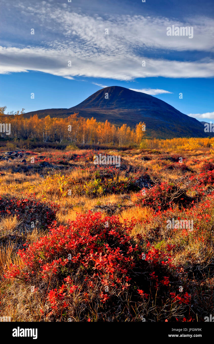 L'Europa, in Svezia, in Lapponia, provincia di Norrbotten, autunno scenario vicino Nikkaluokta Foto Stock