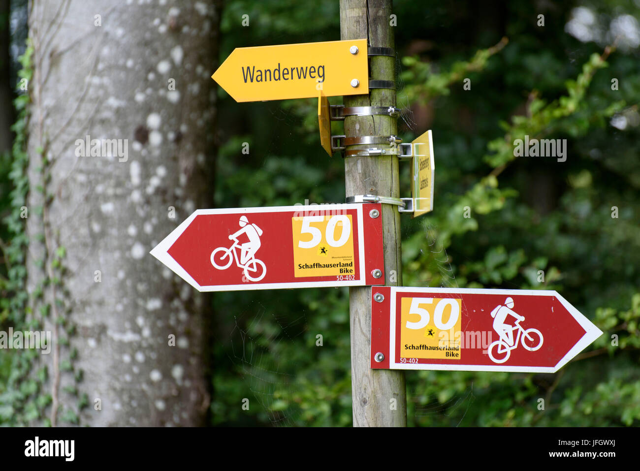 Seguire le indicazioni per gite in mountain bike, Stein a Reno, Lago di Costanza, Turgovia, Svizzera Foto Stock