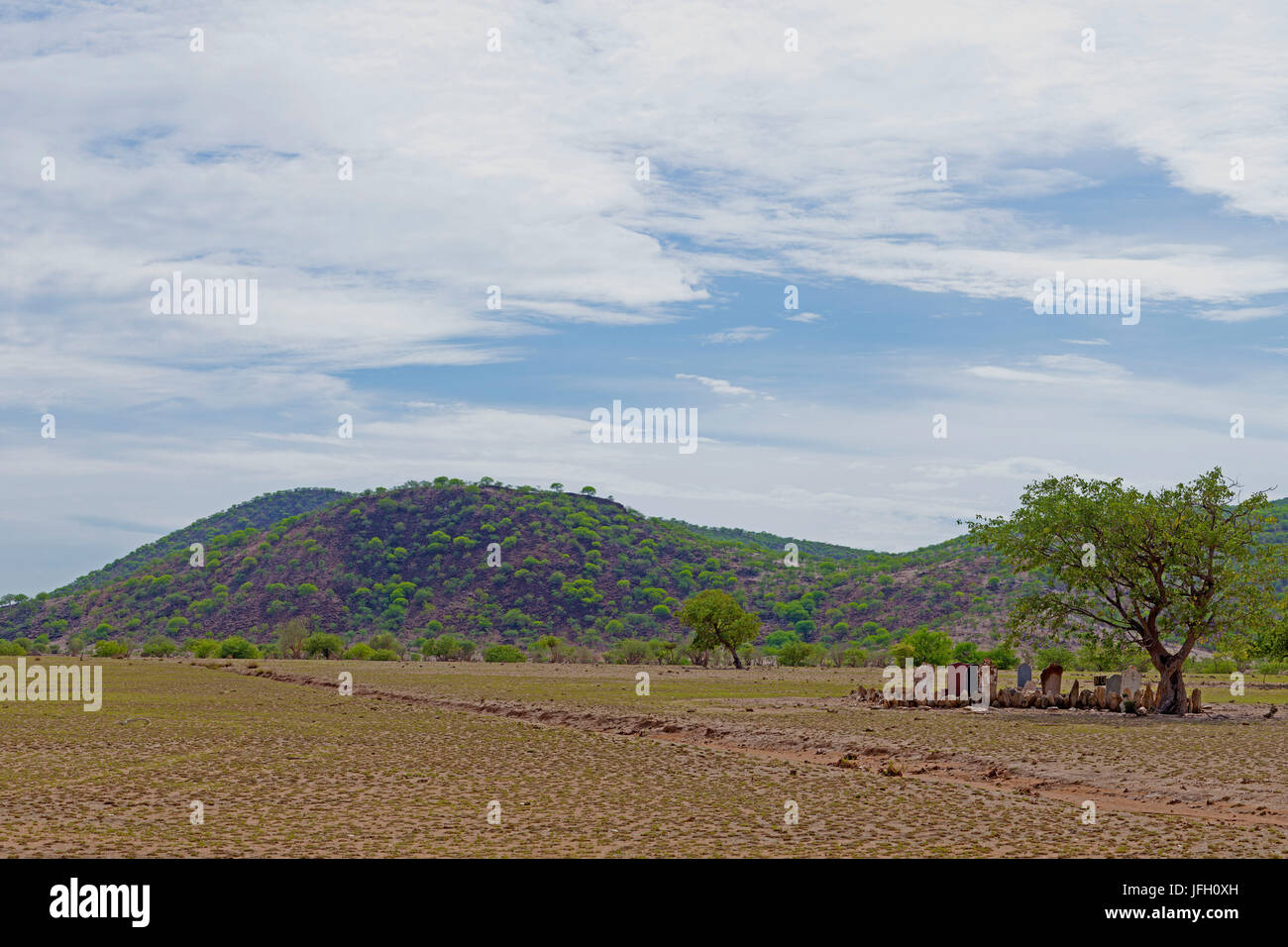 Paesaggio collinare con Mopanebäumchen, piccolo cimitero, Kaokoland, Namibia Foto Stock