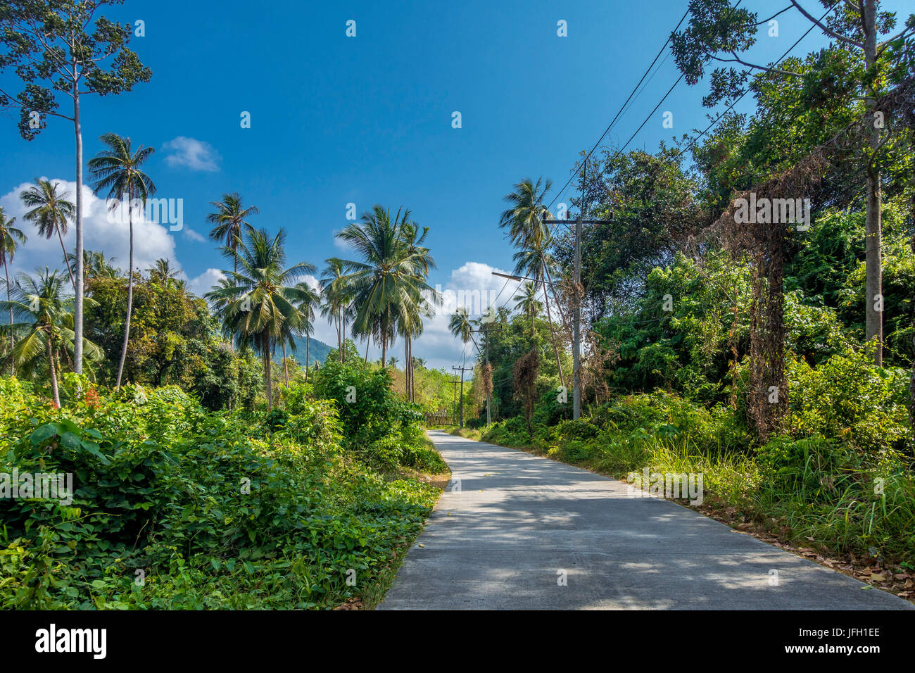 Strada di campagna da una lussureggiante vegetazione a Ko Samui, Thailandia, Asia Foto Stock