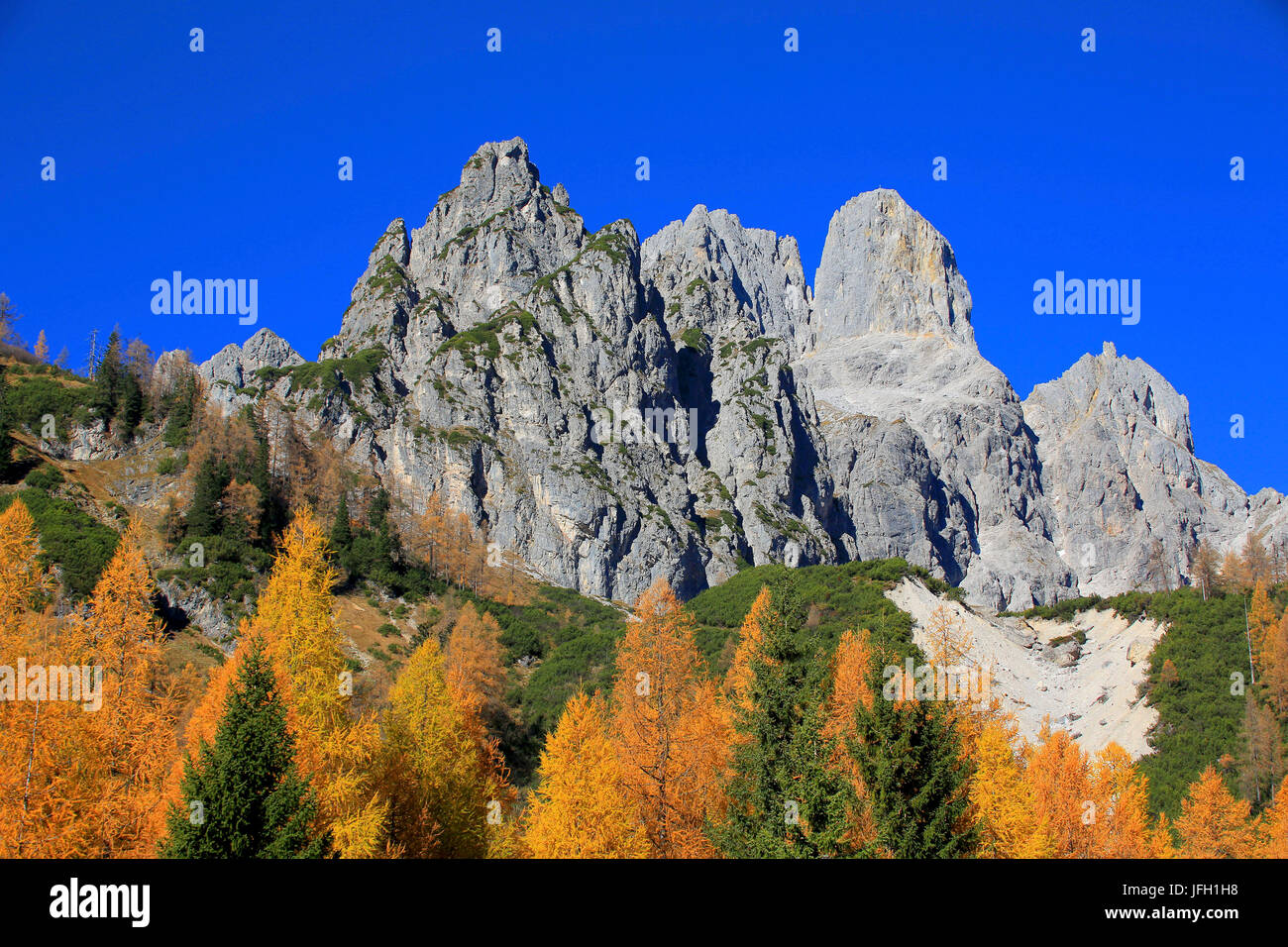 Mitre in autunno scenario, feltro moss, Austria, Europa Foto Stock