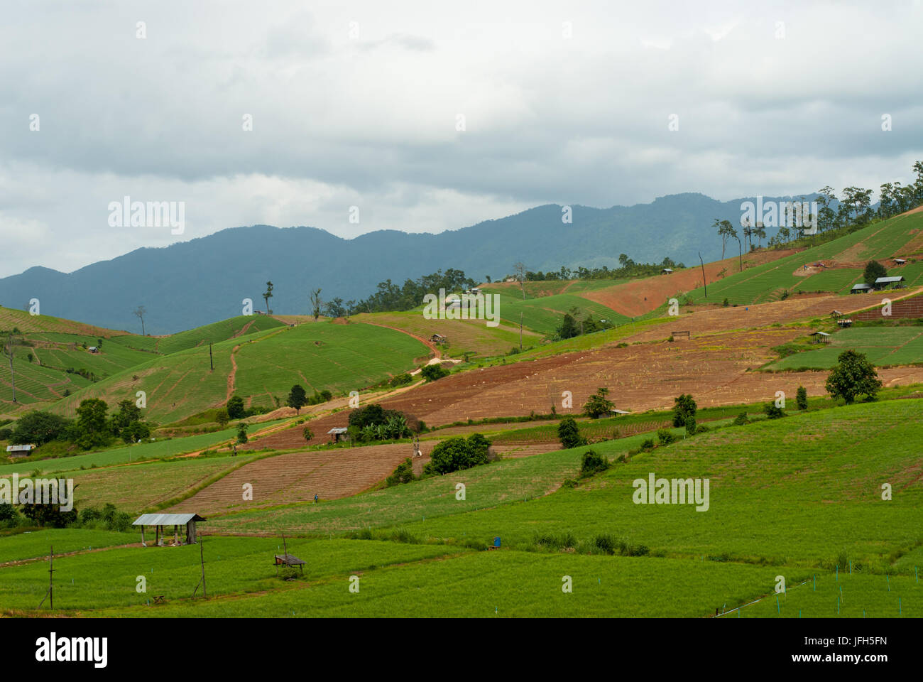 Terrazza i campi di riso in montagna in Mae Chaem distretto di Chiang Mai, Thailandia Foto Stock