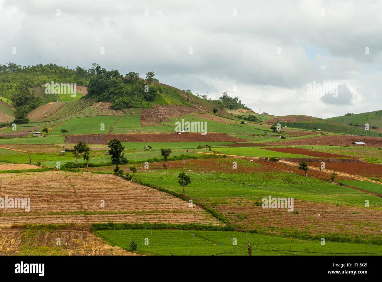 Terrazza i campi di riso in montagna in Mae Chaem distretto di Chiang Mai, Thailandia Foto Stock