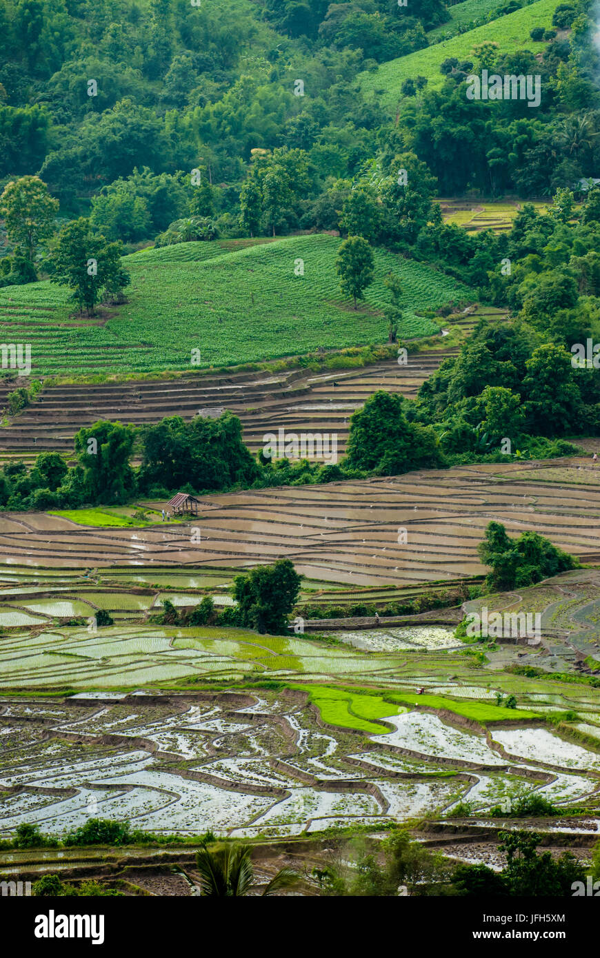 Terrazza i campi di riso in Mae Chaem distretto di Chiang Mai, Thailandia Foto Stock