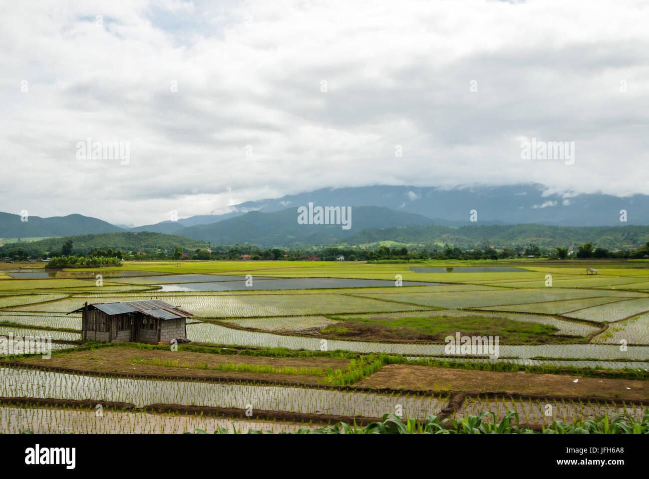 Cottage Terrazza campi di riso in Mae Chaem distretto di Chiang Mai, Thailandia Foto Stock
