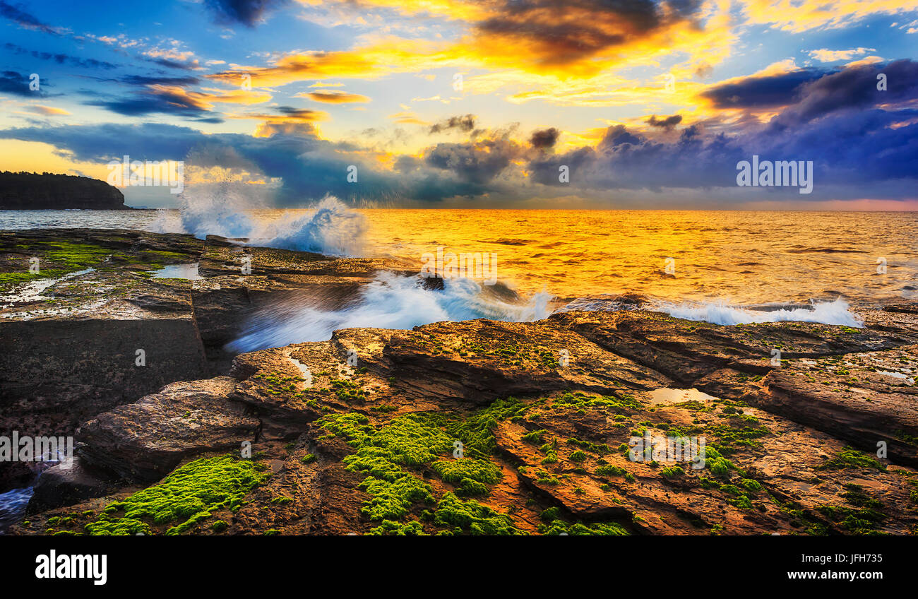 Calda luce del sole colorato capannoni su rocce di arenaria e le alghe intorno erosa fessura a sunrise tempo vicino promontorio Narrabeen costa di Sydney, Australia. Foto Stock