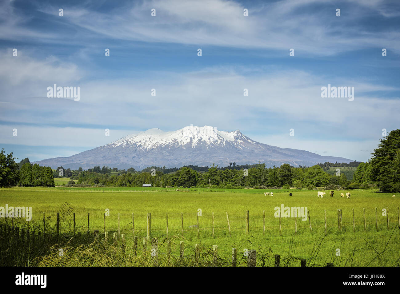 Il monte Vulcano Ruapehu in Nuova Zelanda Foto Stock