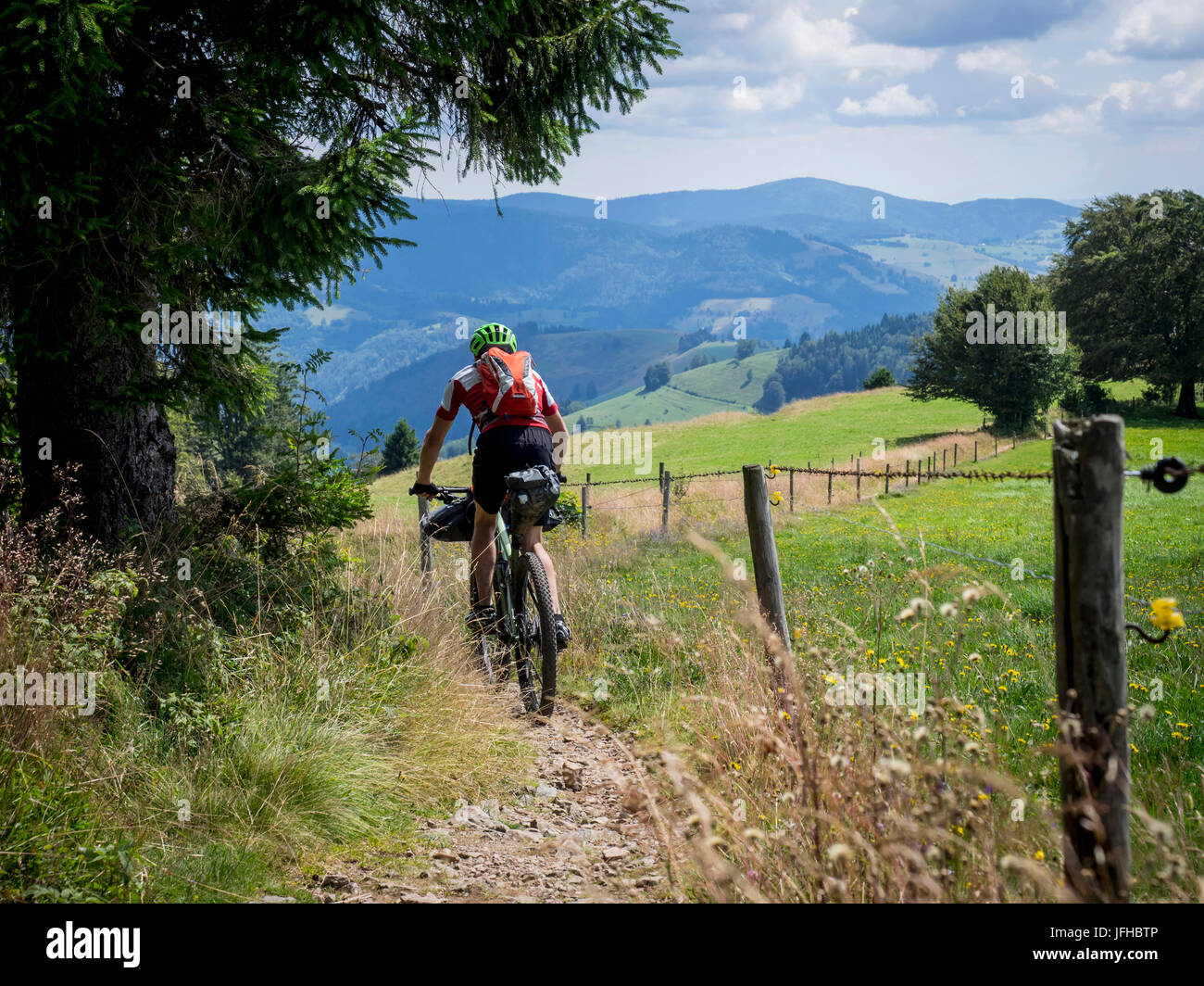 Mountain Biker a cavallo su un unico sentiero nella foresta Foto Stock