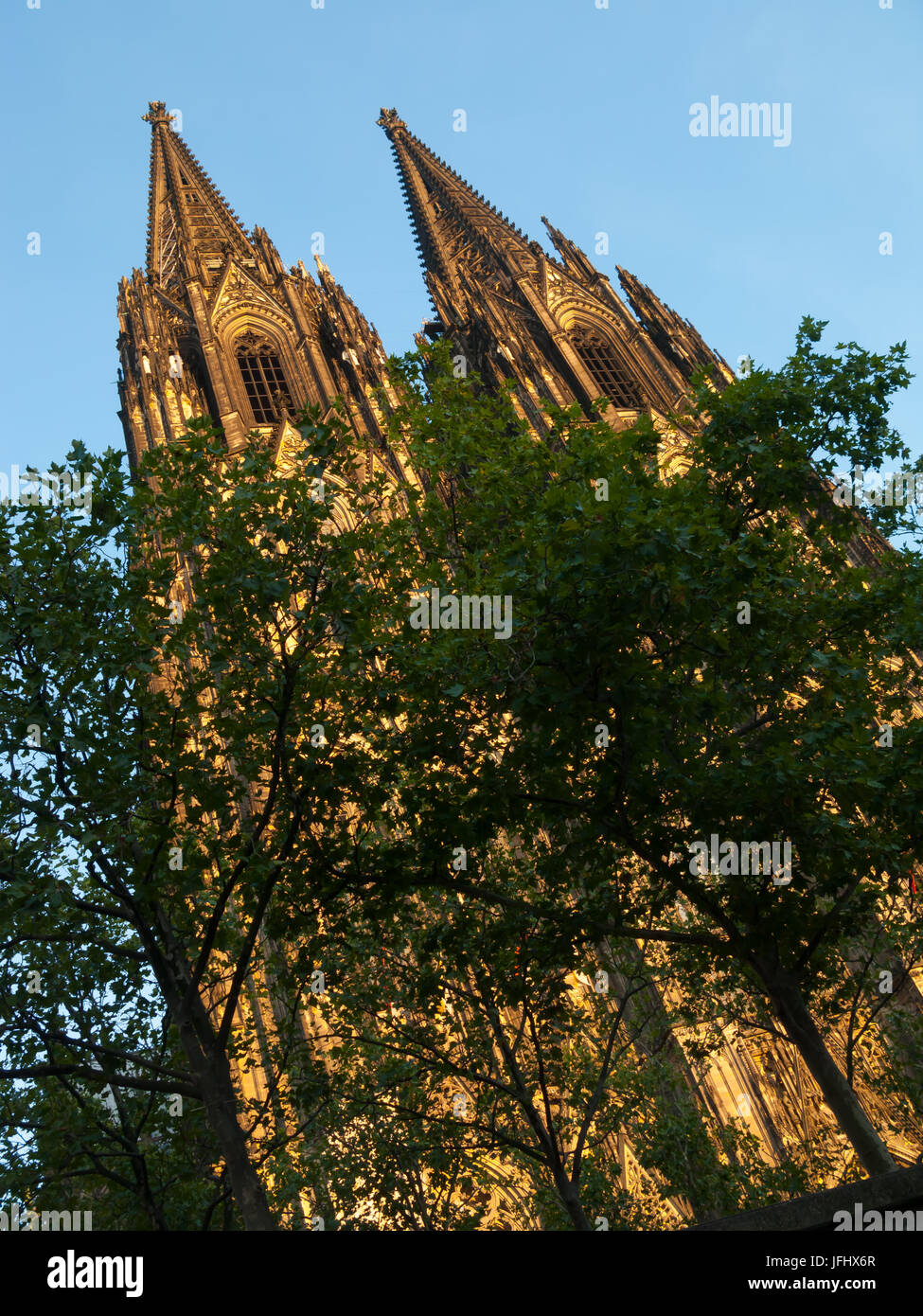 Le guglie della cupola presso la cattedrale di Colonia, Koln Dom, Colonia, Germania nel sole del pomeriggio Foto Stock