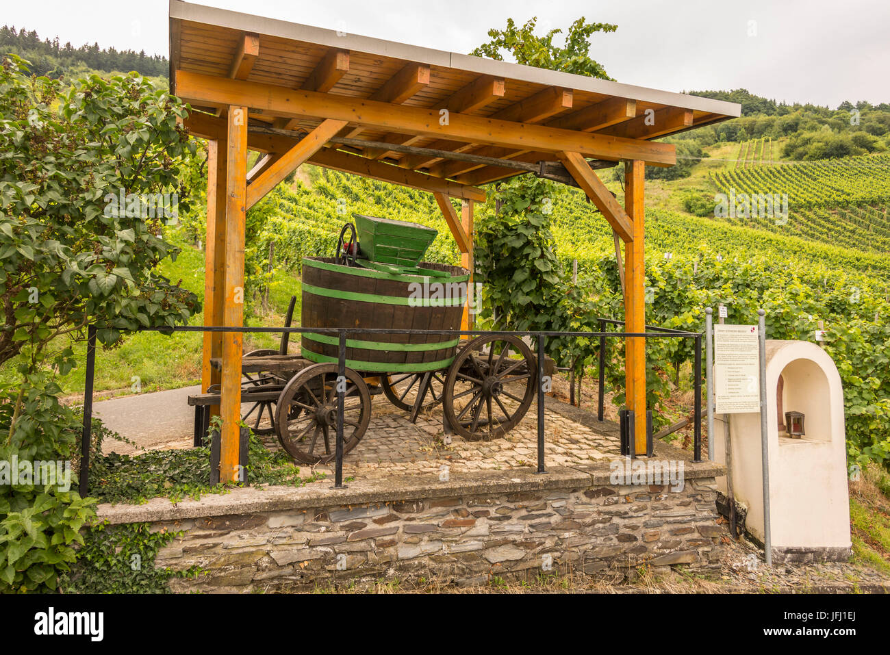 L'Europa, in Germania, in Renania Palatinato, distretto di Bernkastel Wittlich, Mittelmosel, la Mosella, Wintrich, vino sentiero didattico Foto Stock