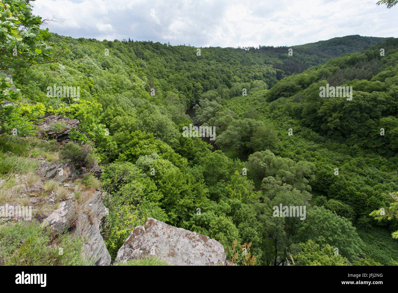 Valley, legno, Thayatal, fiume, rock hill Foto Stock
