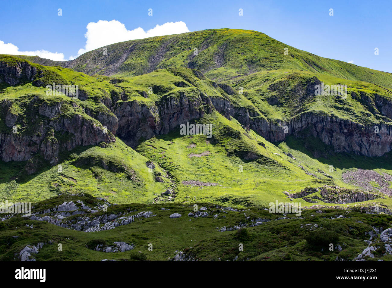 Dorsale erbosa, pascoli di montagna, cieli, collo bava Foto Stock