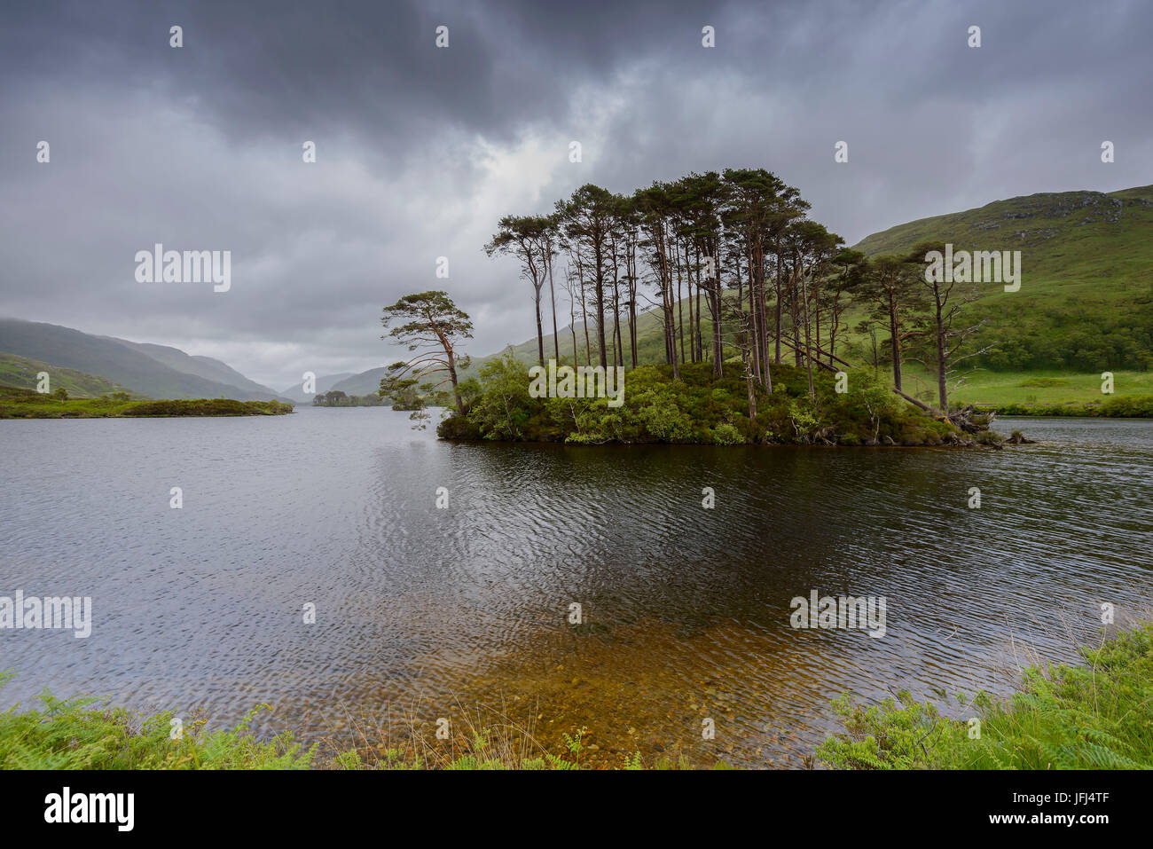 Loch Eilt, Scozia Foto Stock