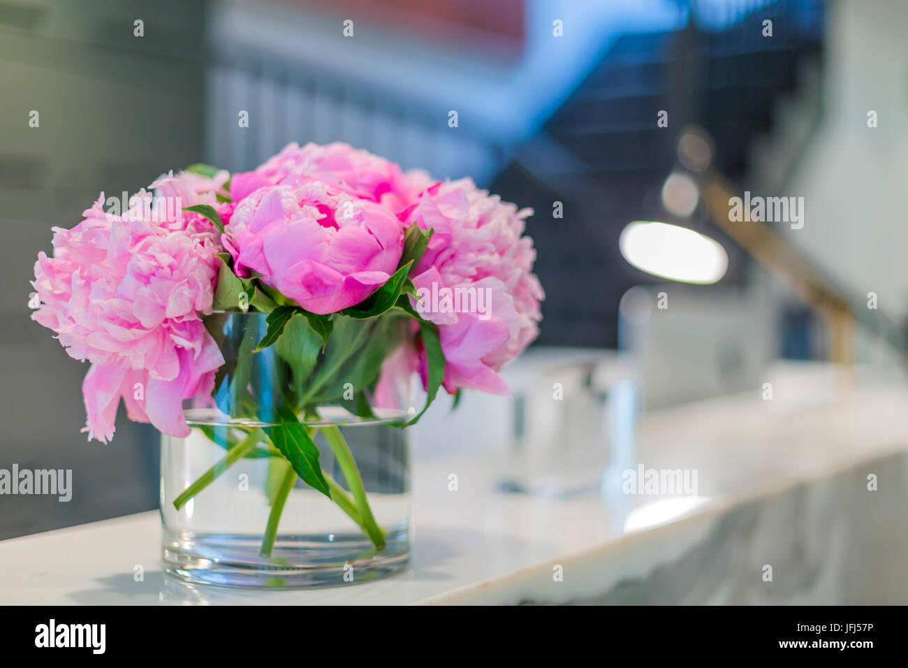 Gli interni di un ufficio ricevimento medici con splendidi fiori di colore rosa in vaso Foto Stock