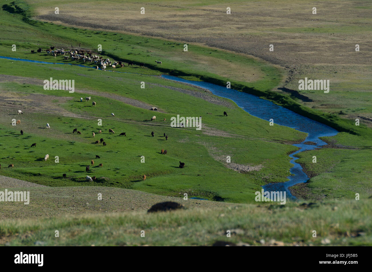 Mongolia, Asia Centrale, Karakorum / Qara Qorum, vista di Gengis Khan monumento Foto Stock