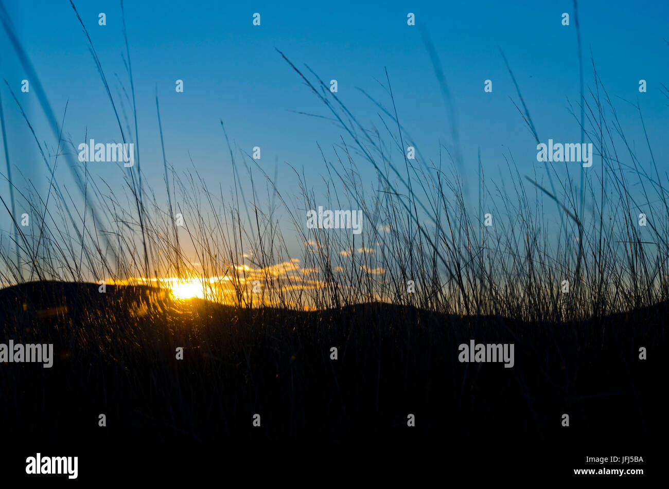 In Mongolia e in Asia centrale, camp nella steppa scenario di Gurvanbulag, erba, colline, sundown Foto Stock