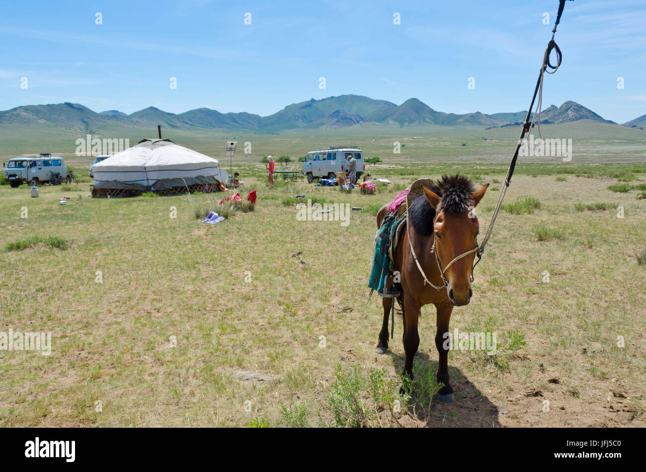 In Mongolia e in Asia centrale, visita con una famiglia di nomadi in yurta tra Khogno Khan e Dashinchilen Foto Stock