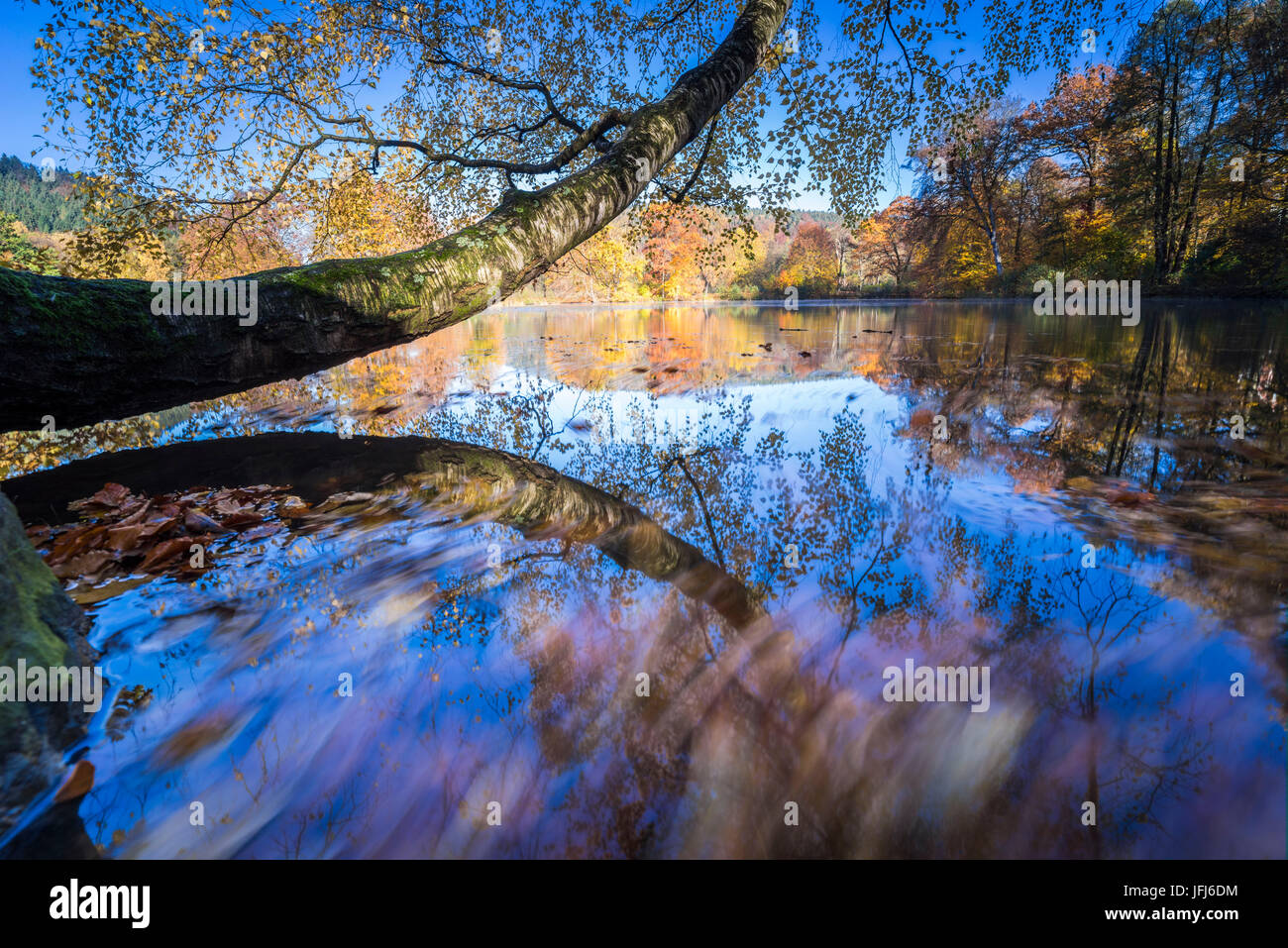 Mirrorings e foglie di drifting nel lago in autunno Foto Stock