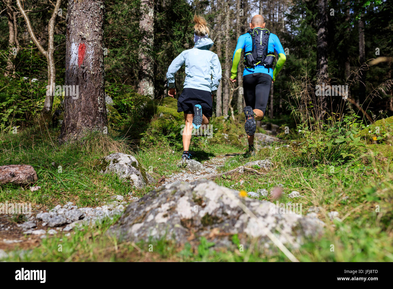 I corridori avventura nei boschi tra alberi e massi Mello Valley Valtellina Lombardia Italia Europa Foto Stock
