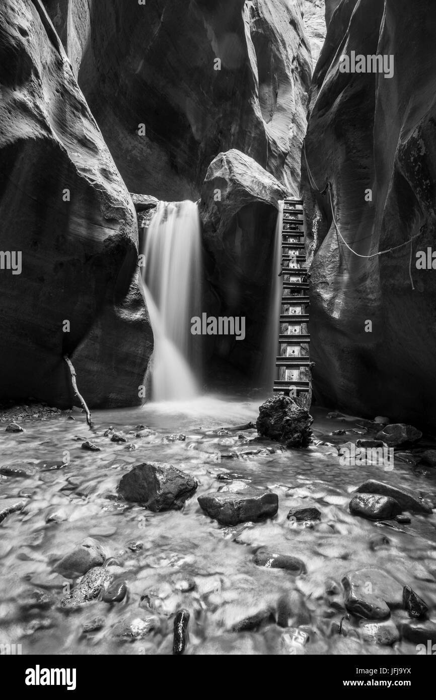 In bianco e nero lunga esposizione a cascata e in scaletta Kanarra Creek Canyon, Kanarraville, Iron County, Utah, STATI UNITI D'AMERICA, Foto Stock