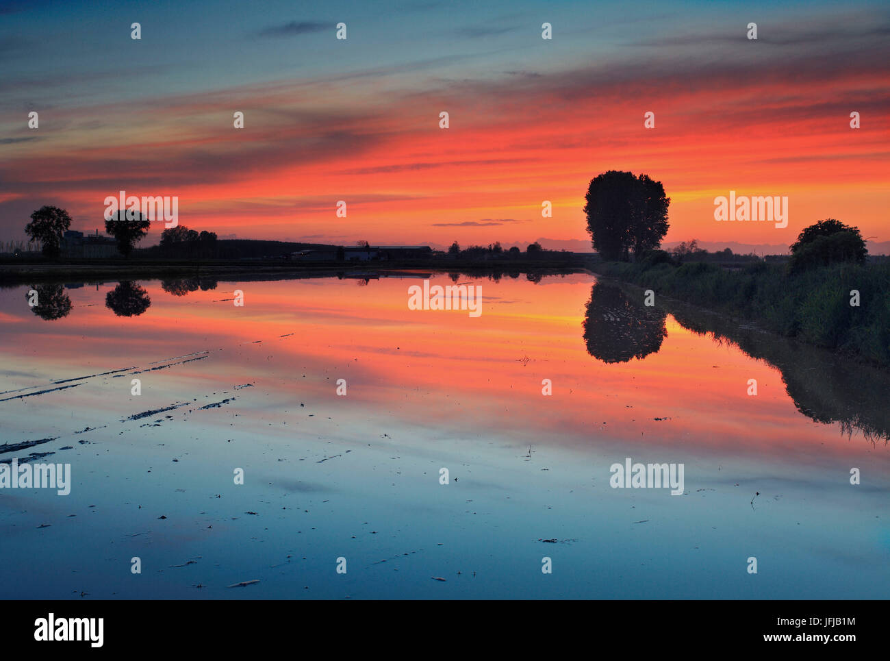 Lombardia, Italia, Tramonto in Lomellina preso in un recente risaie allagate Foto Stock