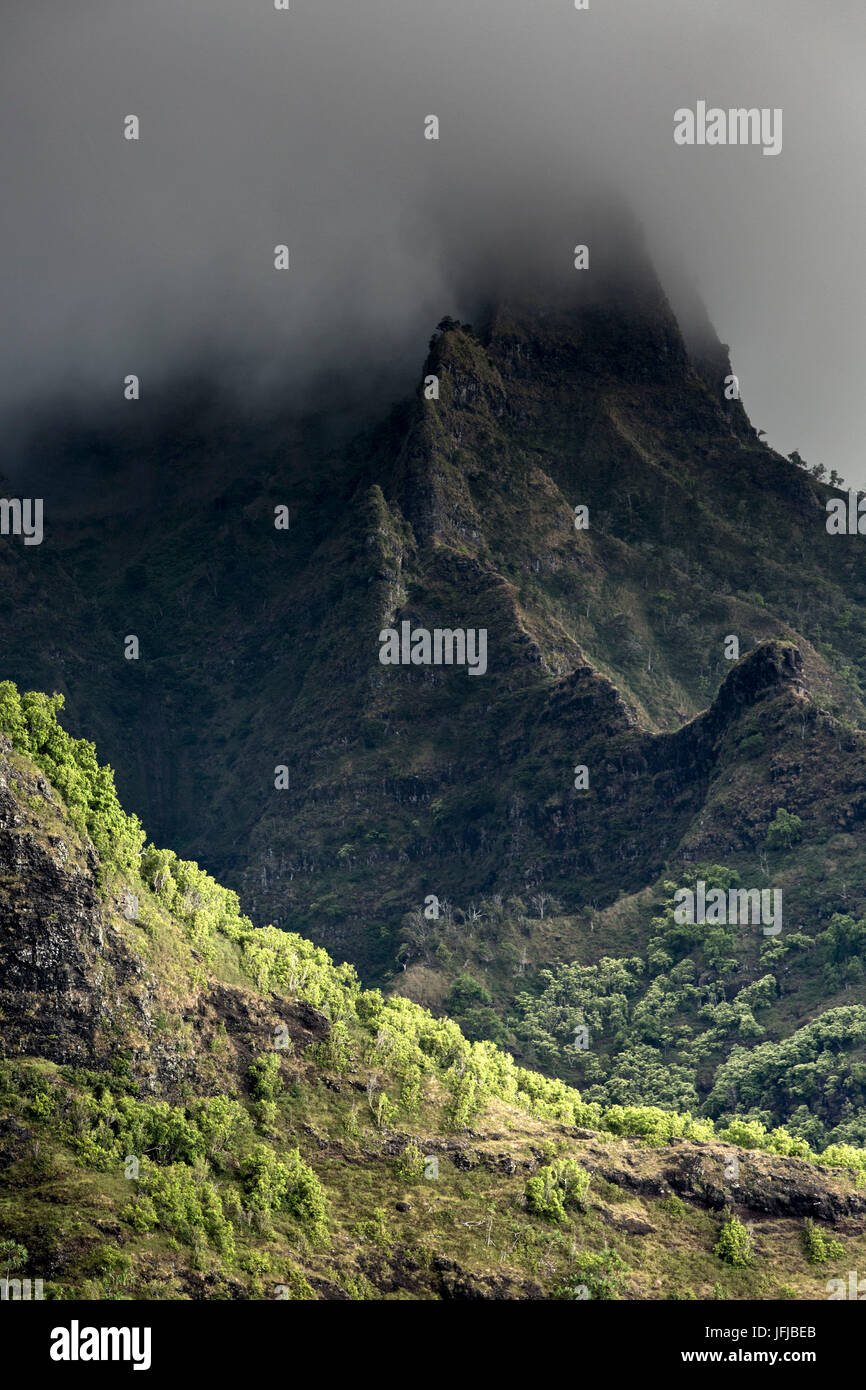 La Jurassic park (Isola di Kauai) visto formano l'oceano Foto Stock
