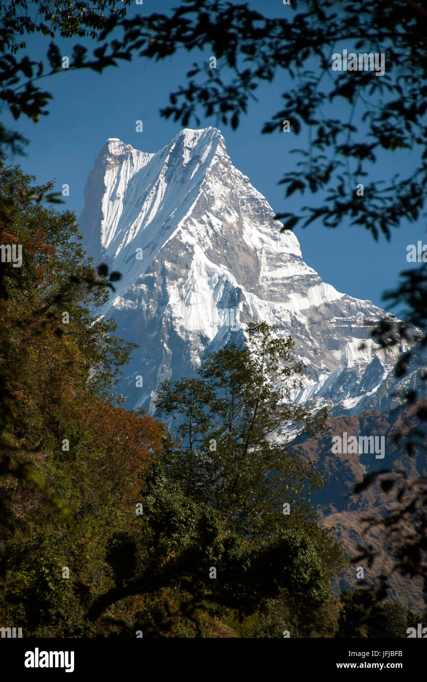 Machhapuchhre dal circuito di Annapurna, Himalaya, Nepal Foto Stock
