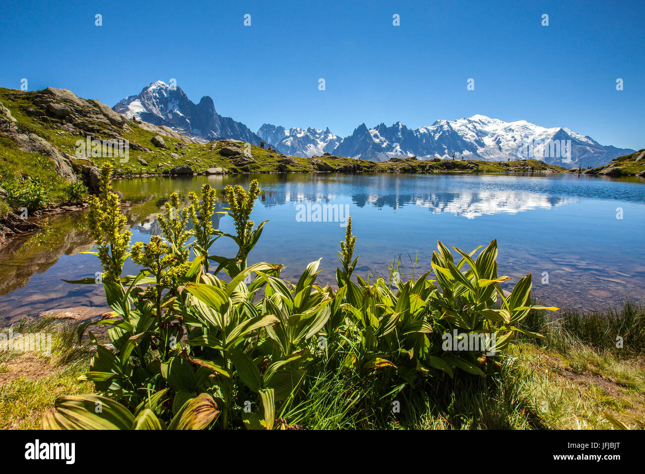 La catena montuosa del Monte Bianco si riflette nelle acque del Lac de Chesery, Haute Savoie Francia Foto Stock