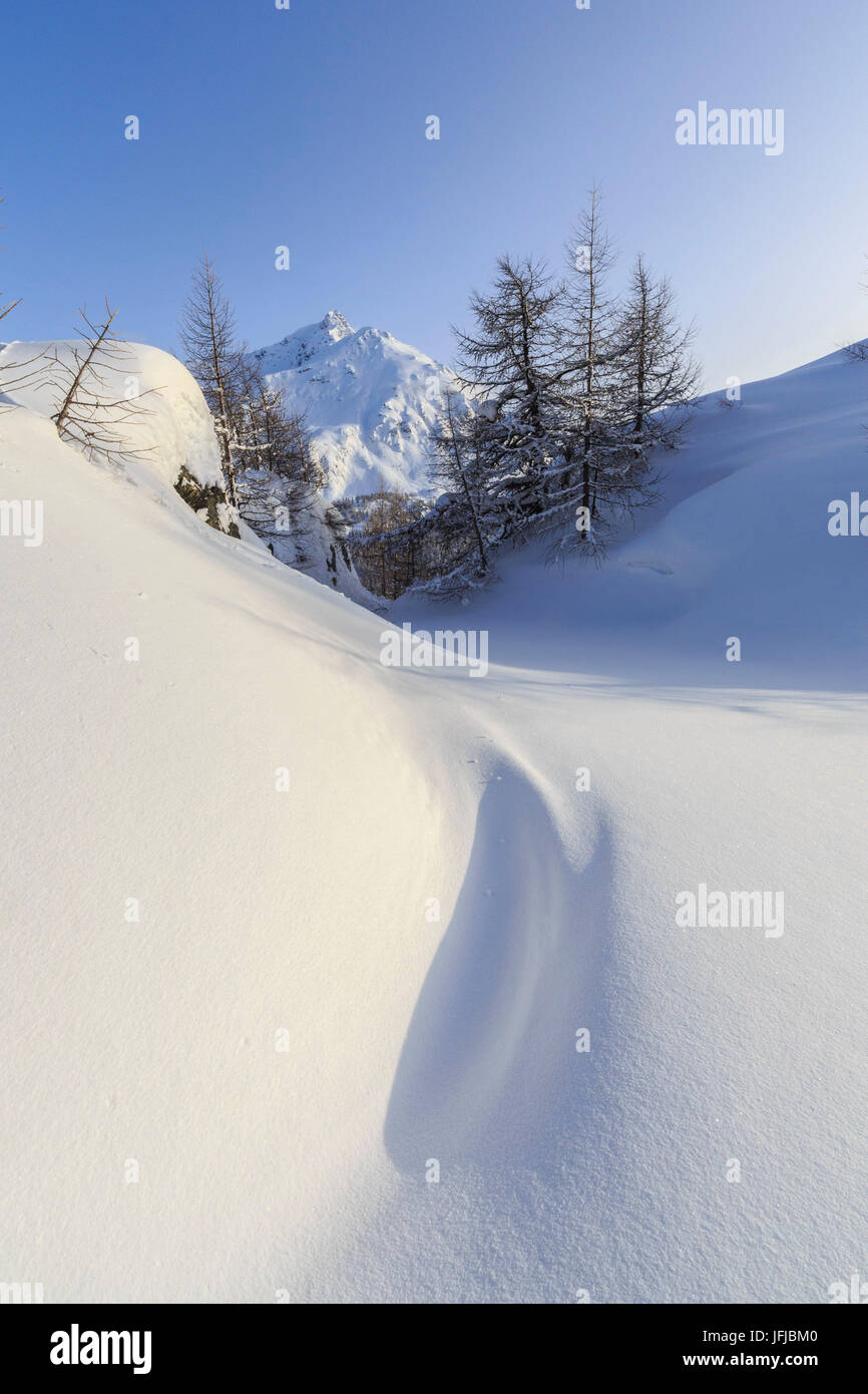 Il Piz de la Margna visto da una coperta di neve valle presso il Passo del Maloja, Canton Grigioni, Engadina, Svizzera, Europa Foto Stock