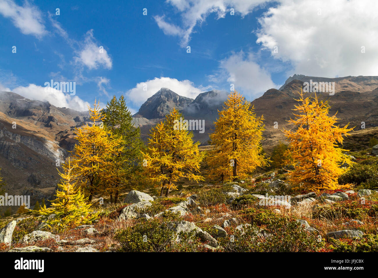 La stagione autunnale di Valtournenche, appena sopra la bella pianura di Cheneil (Cheneil, Valtournenche, provincia di Aosta, Valle d'Aosta, Italia, Europa) Foto Stock