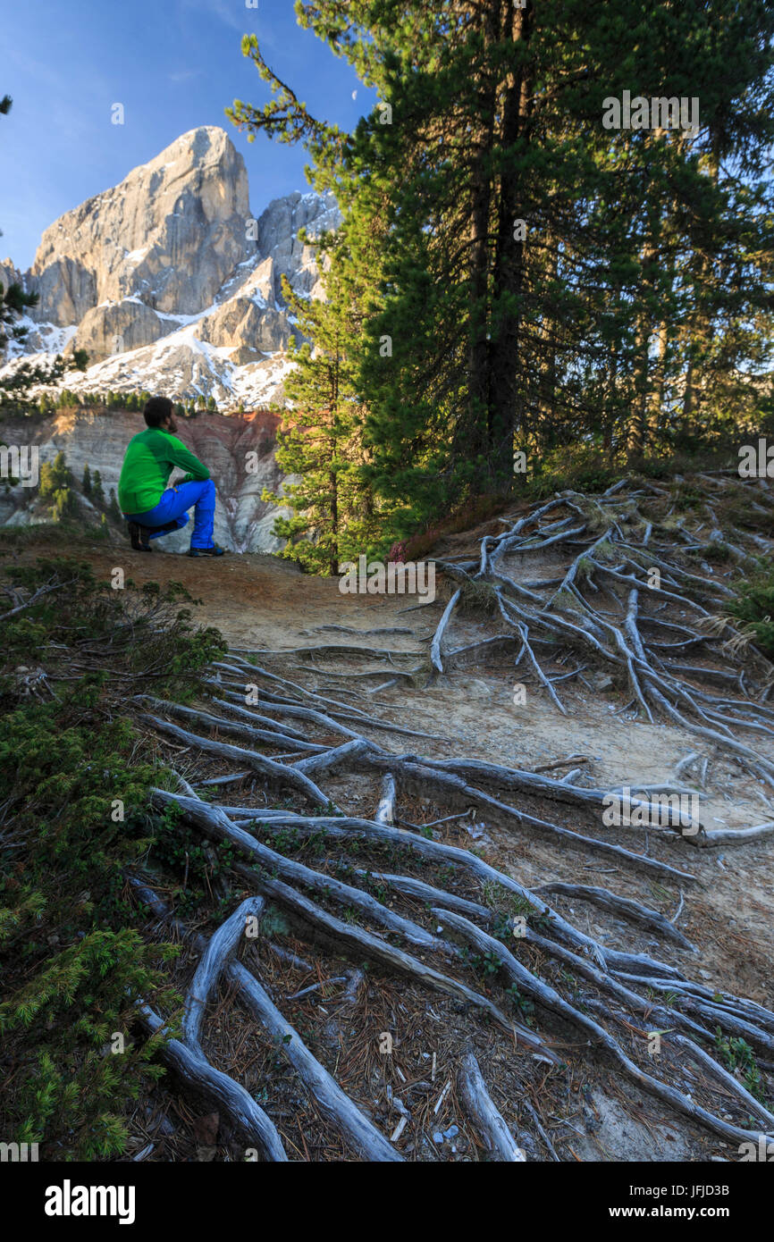 Escursionista nei boschi si ammira il Sass de Putia, il Passo delle Erbe, Puez Odle Alto Adige Dolomiti Italia Europa Foto Stock