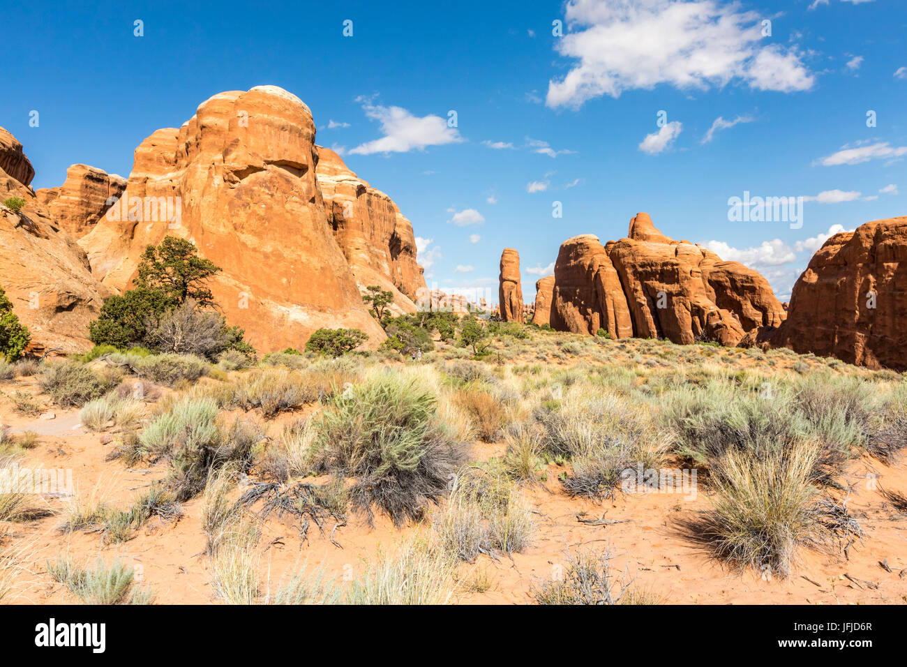 Parco Nazionale di Arches, Moab, Grand County, Utah, STATI UNITI D'AMERICA, Foto Stock