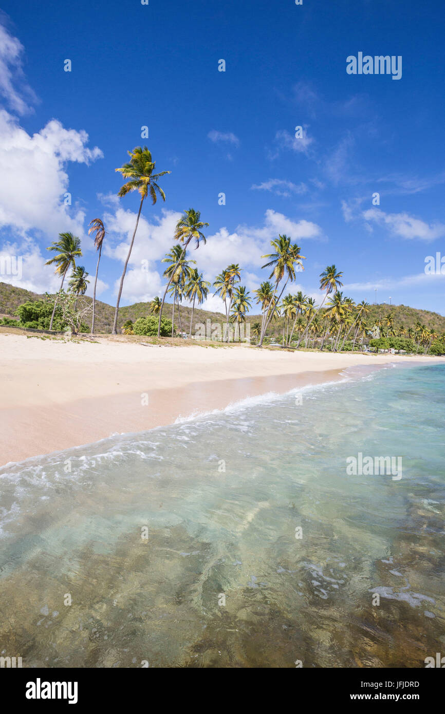 La lunga spiaggia circondata da palme e sul Mar dei Caraibi Morris Carlisle Bay Antigua e Barbuda Isola sottovento West Indies Foto Stock