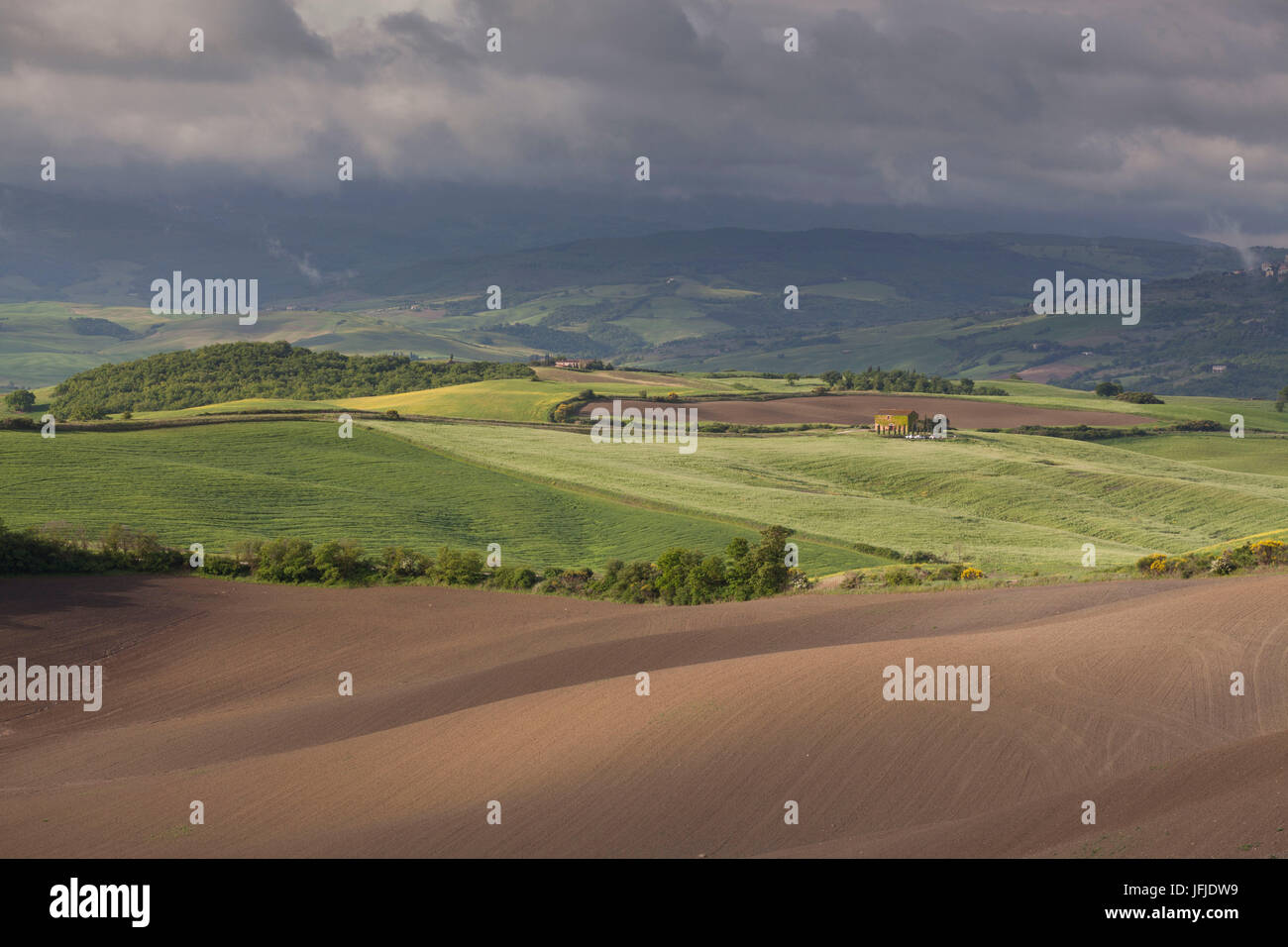 Pienza, Val d'Orcia, Toscana, Italia, Campagna di sunrise Foto Stock