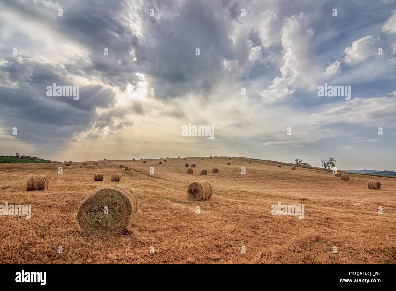 Balle di fieno nella campagna toscana Foto Stock