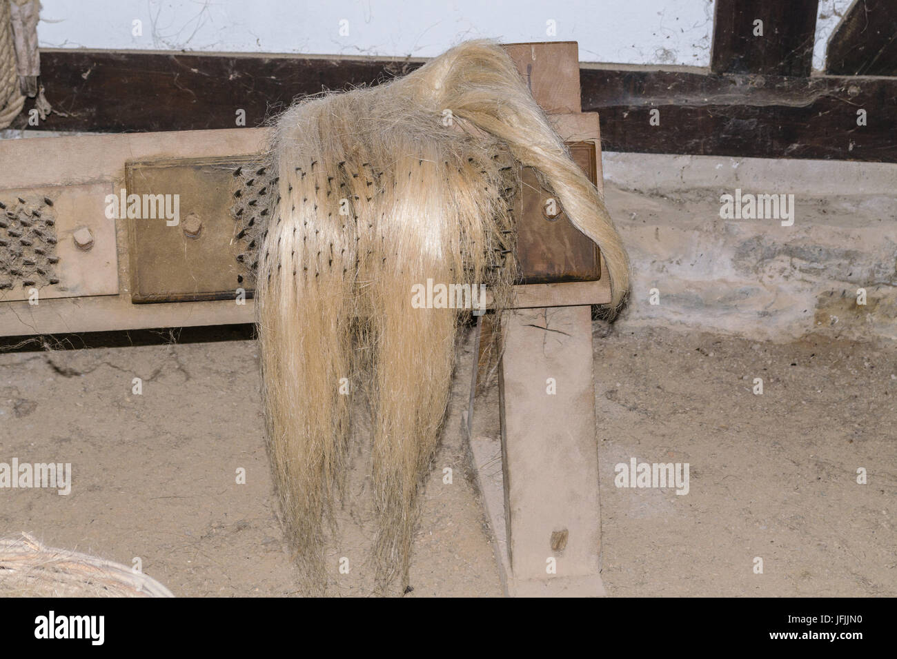 La fibra di canapa, materie prime provenienti da piante di canapa Foto Stock