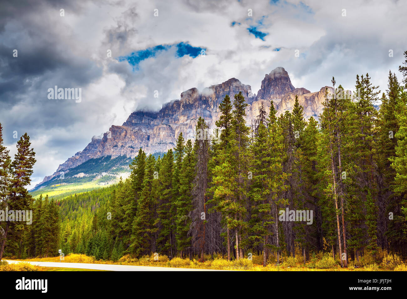 La bellissima natura delle Montagne Rocciose del Canada. Evergreen le foreste di conifere, maestose montagne e la girata Giallo autunno boccole Foto Stock