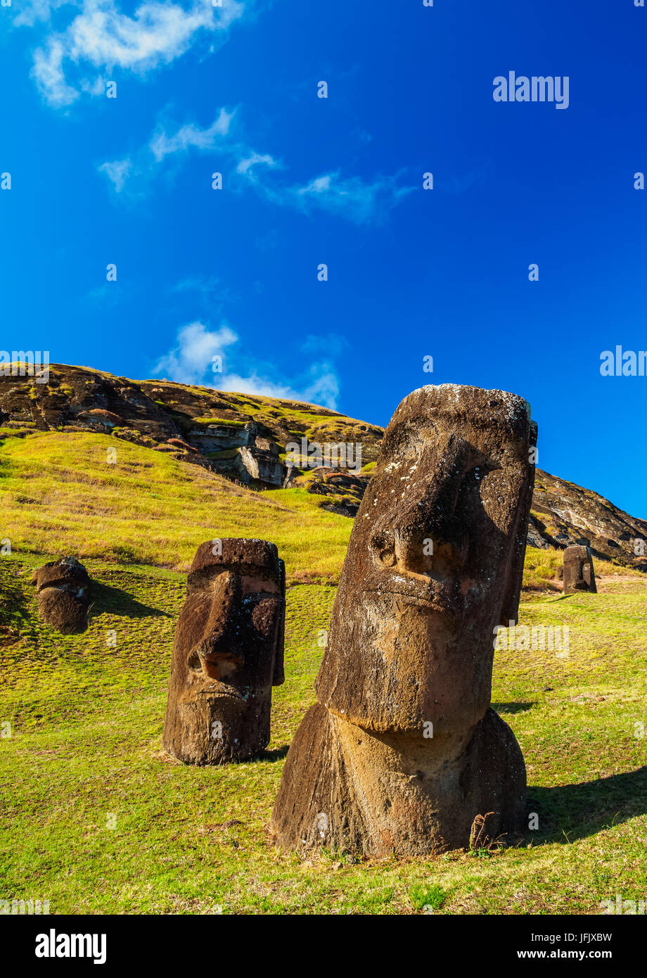 Moais alla cava sul versante del Rano Raraku Vulcano, Parco Nazionale di Rapa Nui, Isola di Pasqua, Cile Foto Stock