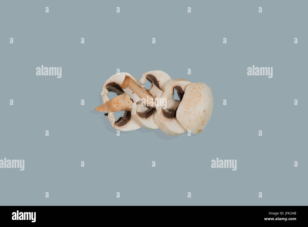 Un bianco striato champion fotografata su uno sfondo neutro Foto Stock