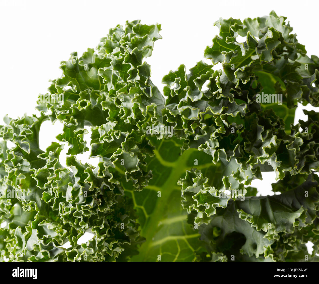 Kale Foto Stock