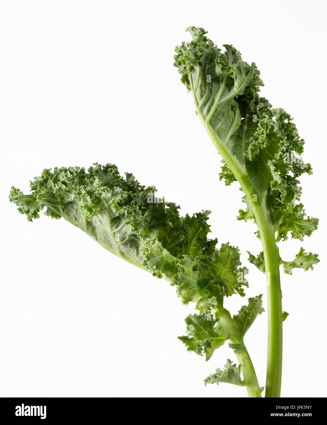 Kale Foto Stock