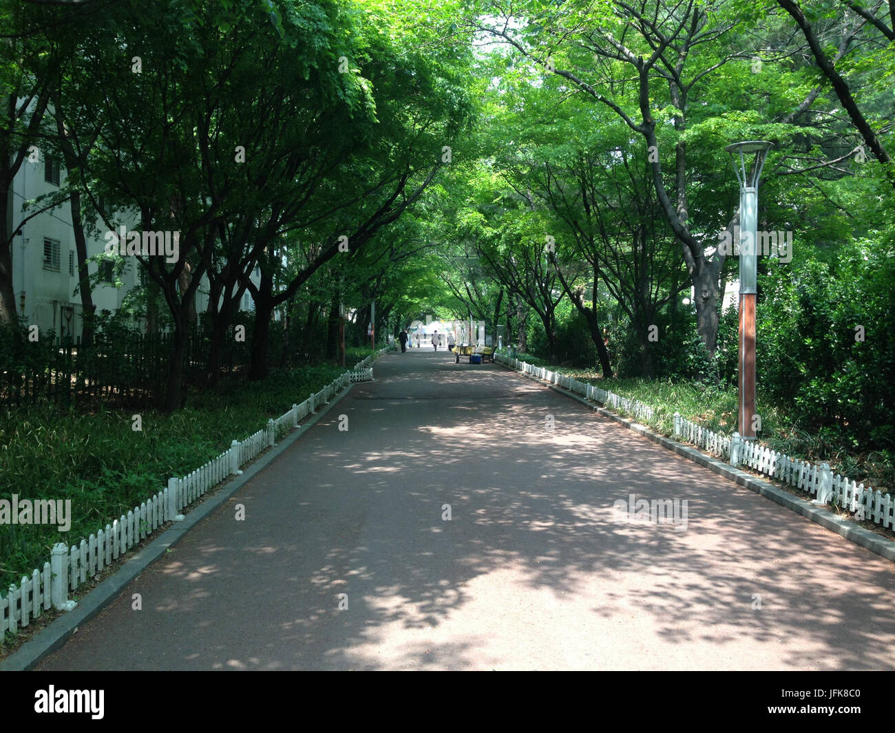 2014-04-25 IMG 7317 BCE59CEAB491EBAAA8 Foto Stock