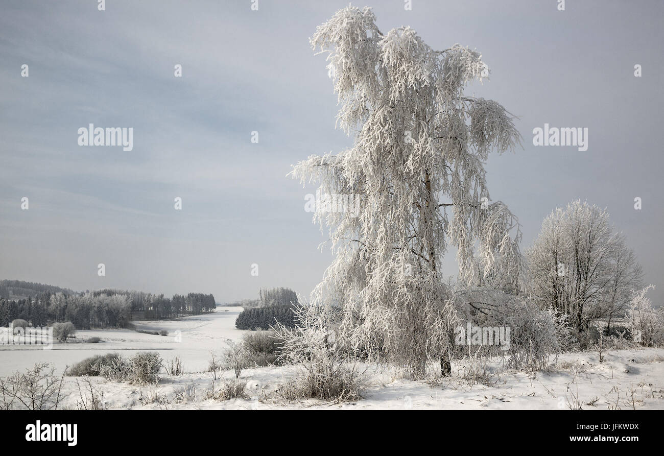 In inverno la riserva naturale Foto Stock